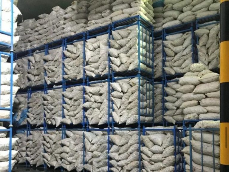 تولید سیب زمینی زاگرس (13)